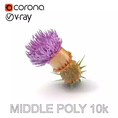 Thistle Flower Delicate Petal Model Pack Low-poly 3D model