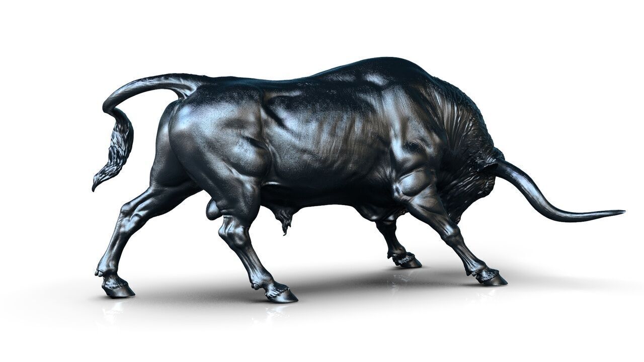 Bull - Texas Longhorn  3D Sculpting 3D print model_5