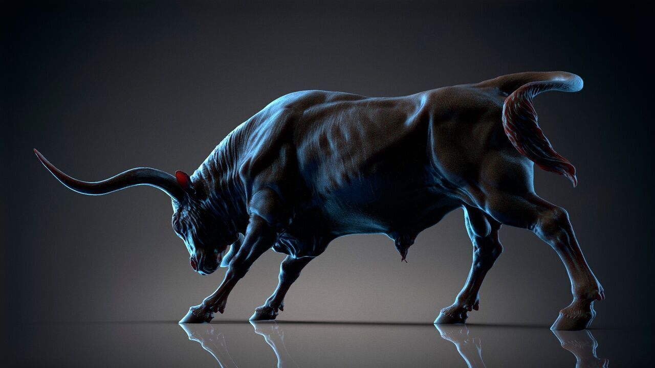 Bull - Texas Longhorn  3D Sculpting 3D print model_19