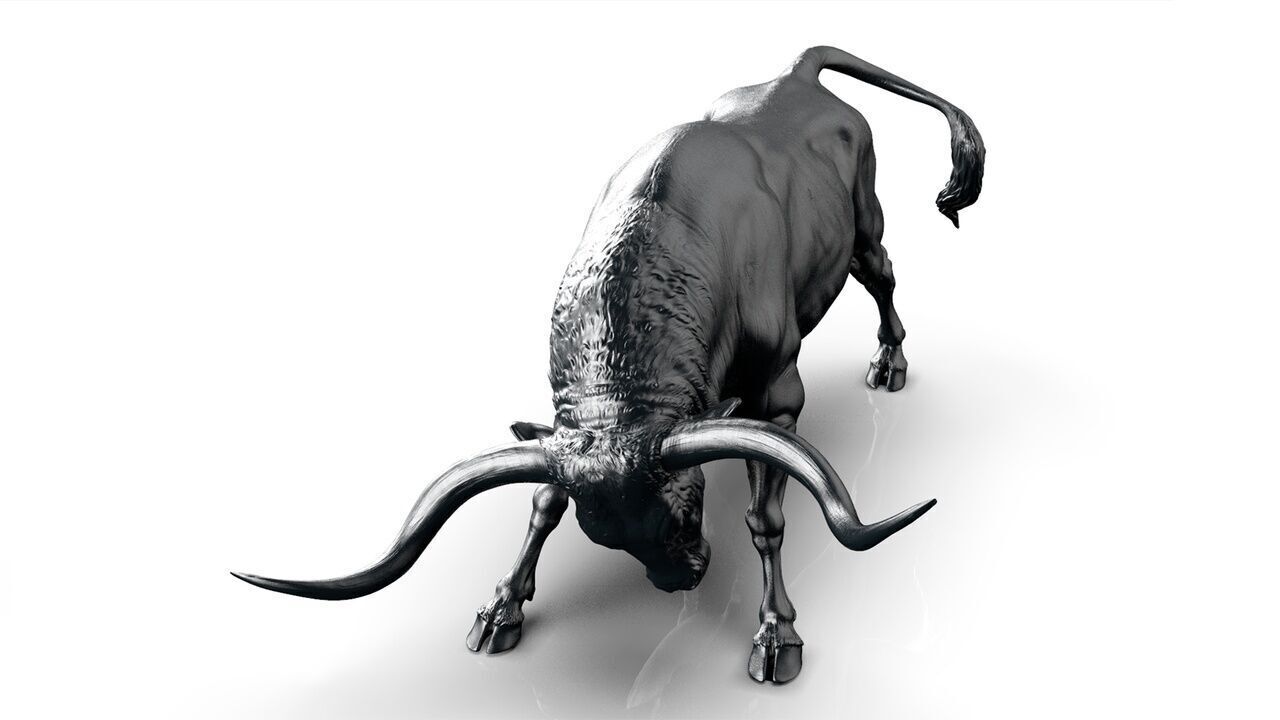 Bull - Texas Longhorn  3D Sculpting 3D print model_8