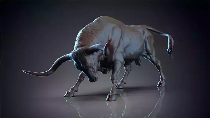 Bull - Texas Longhorn  3D Sculpting