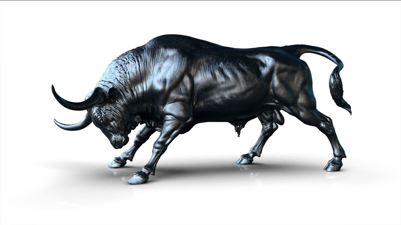 Bull - Texas Longhorn  3D Sculpting 3D print model_3