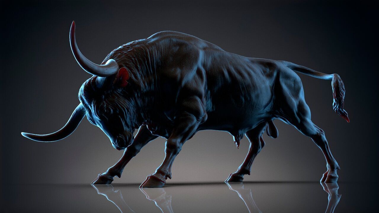 Bull - Texas Longhorn  3D Sculpting 3D print model_20