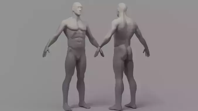 Anatomy Body Male