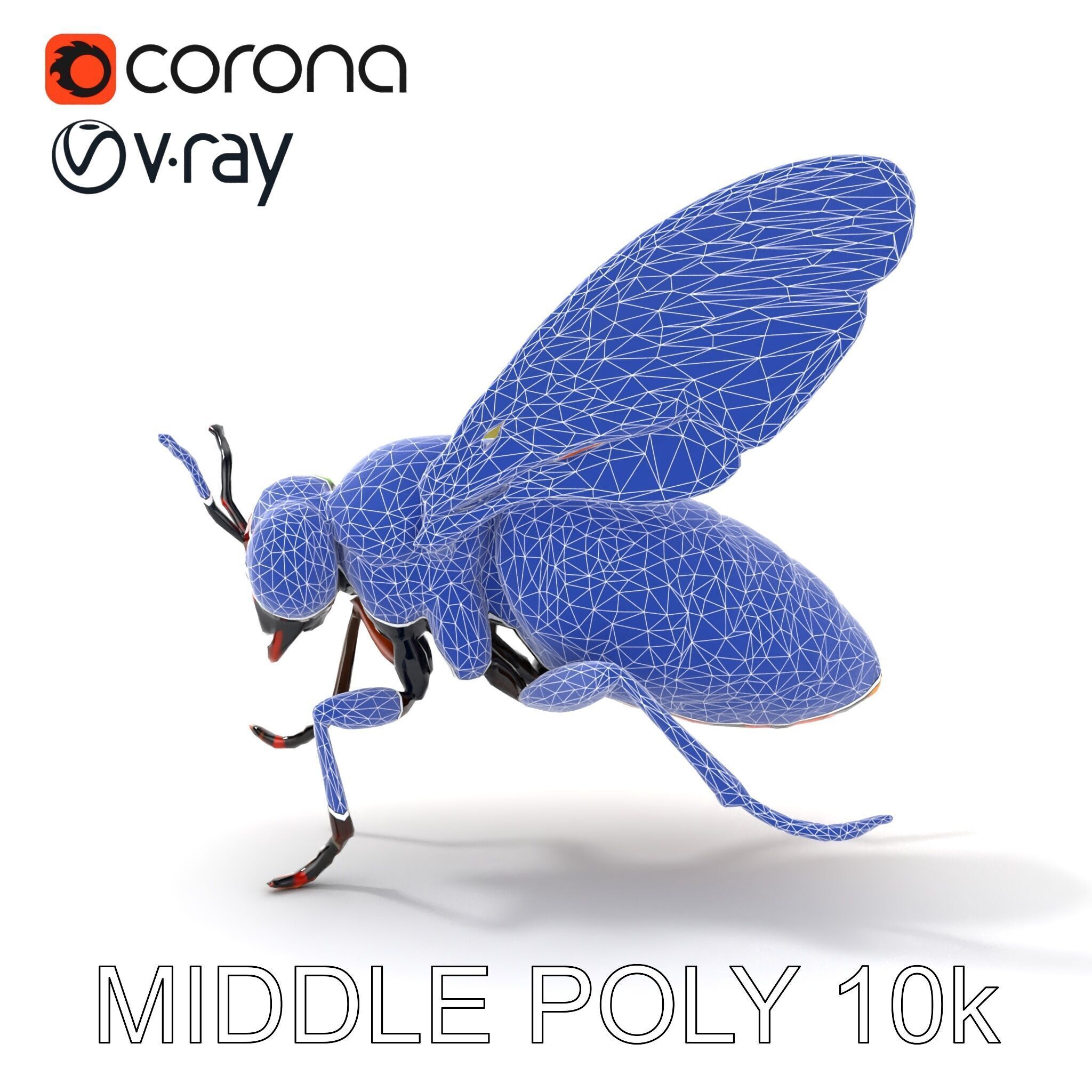 Exotic Insect with Stained Glass Wings model pack Low-poly 3D model_29