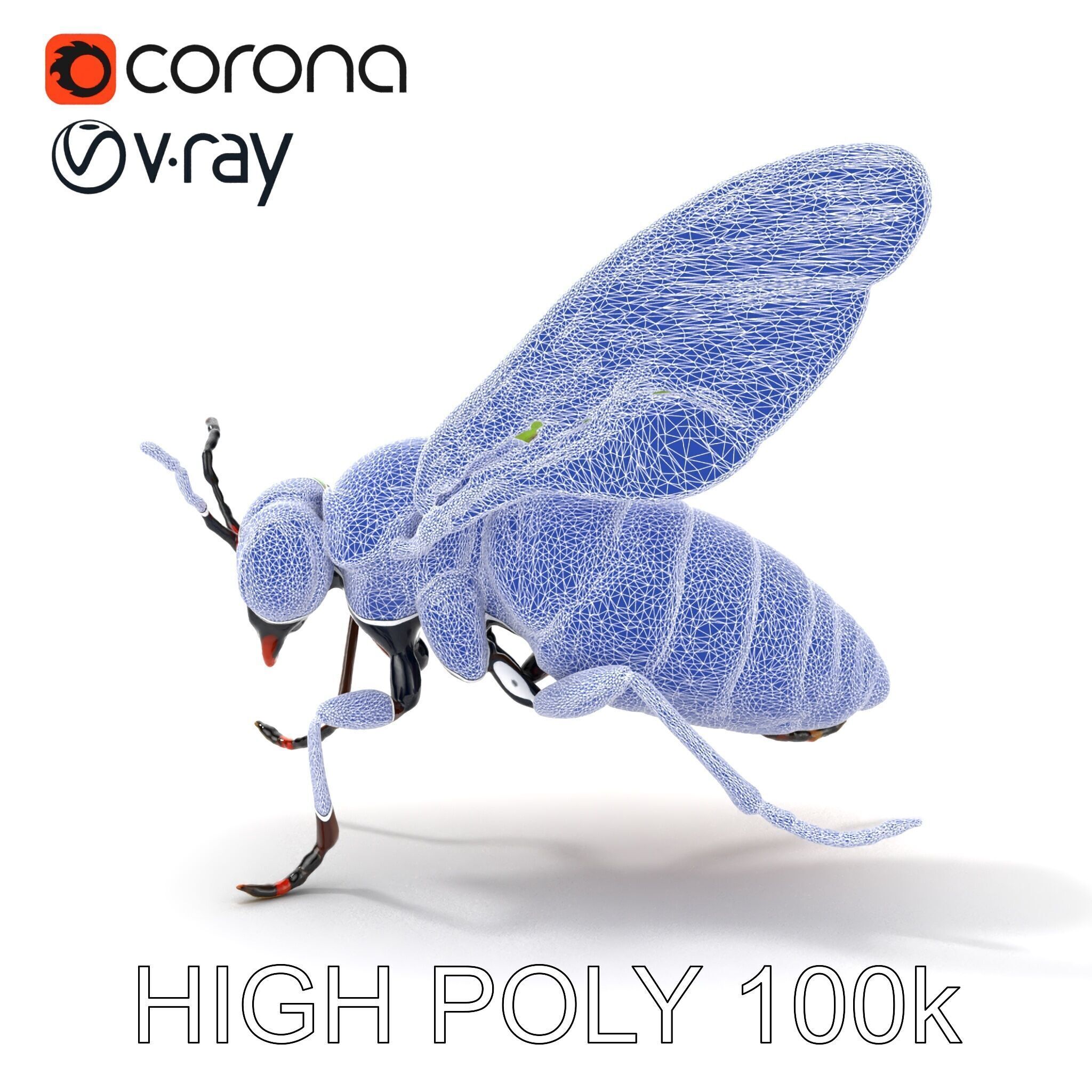 Exotic Insect with Stained Glass Wings model pack Low-poly 3D model_30