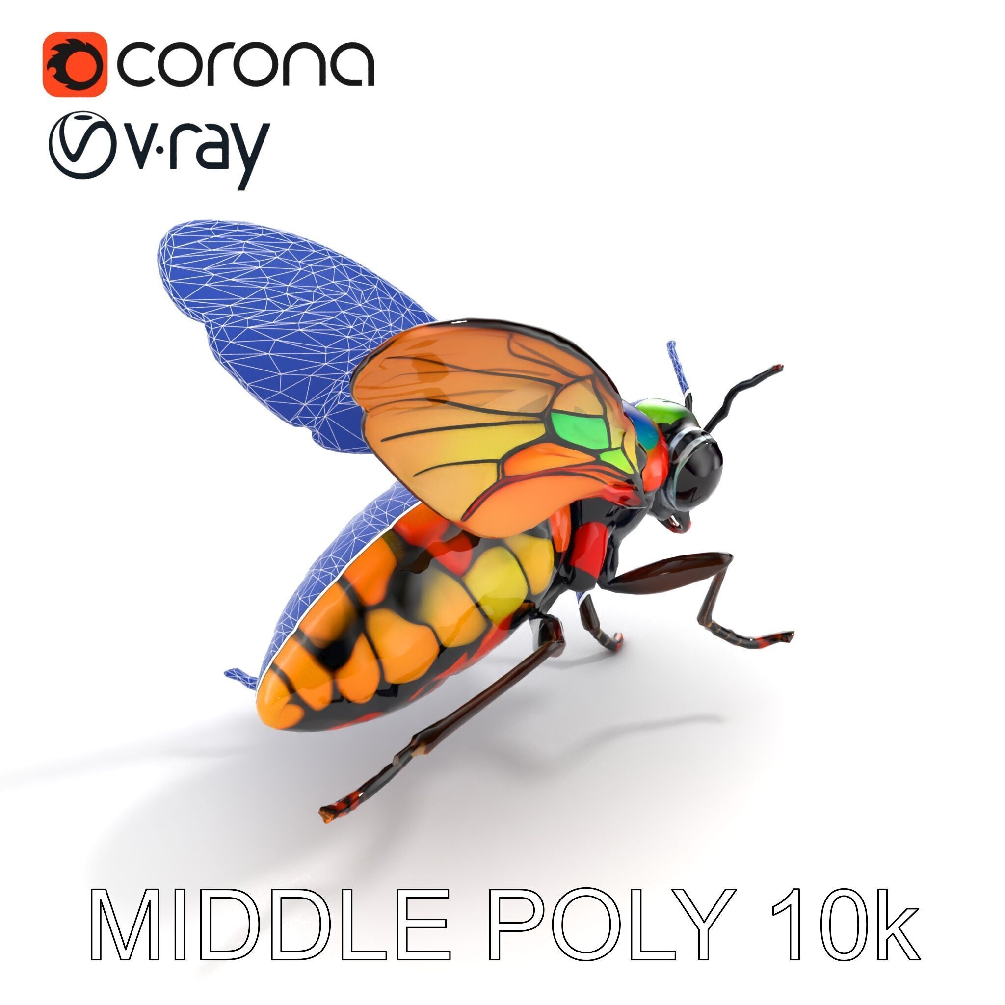 Exotic Insect with Stained Glass Wings model pack Low-poly 3D model_11