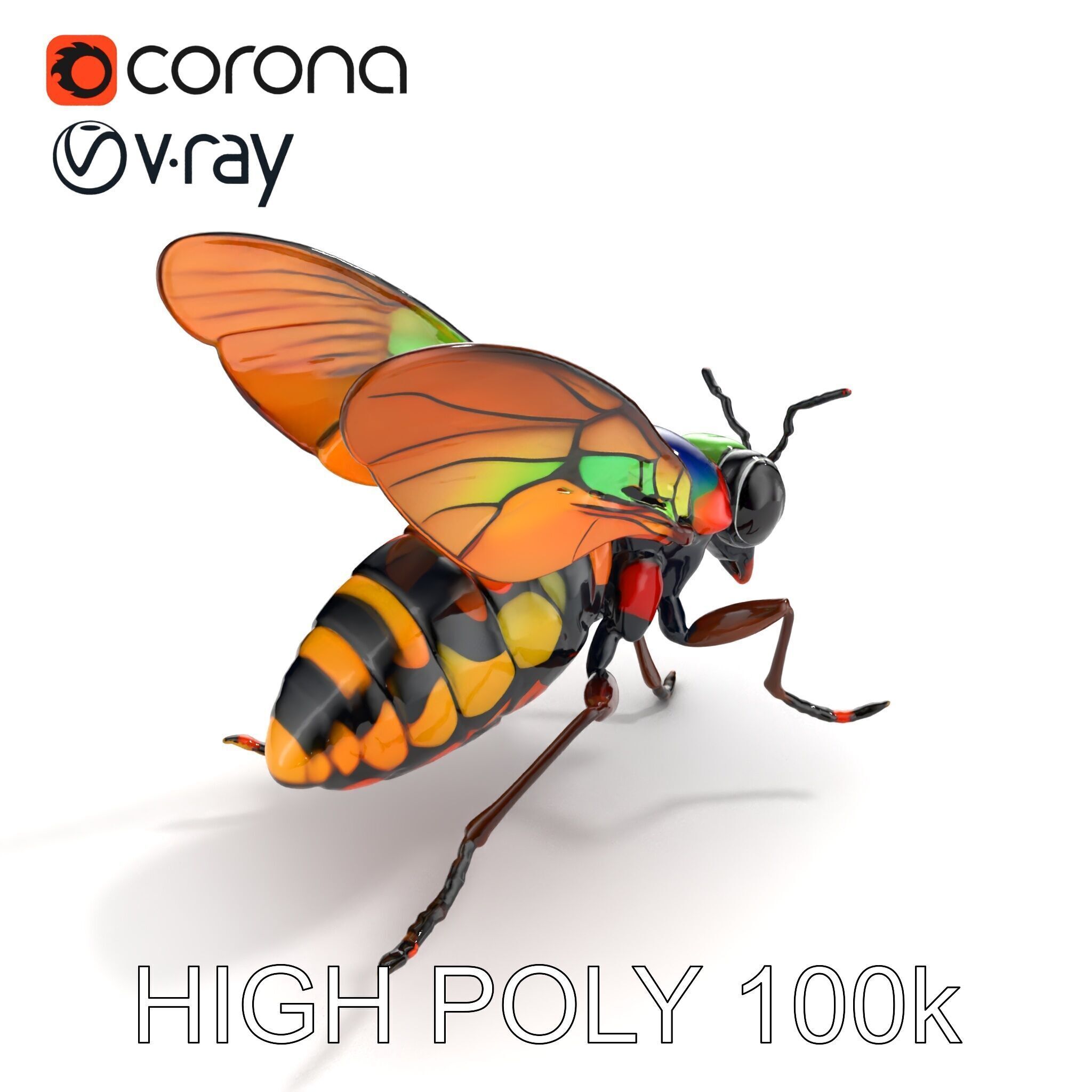 Exotic Insect with Stained Glass Wings model pack Low-poly 3D model_13