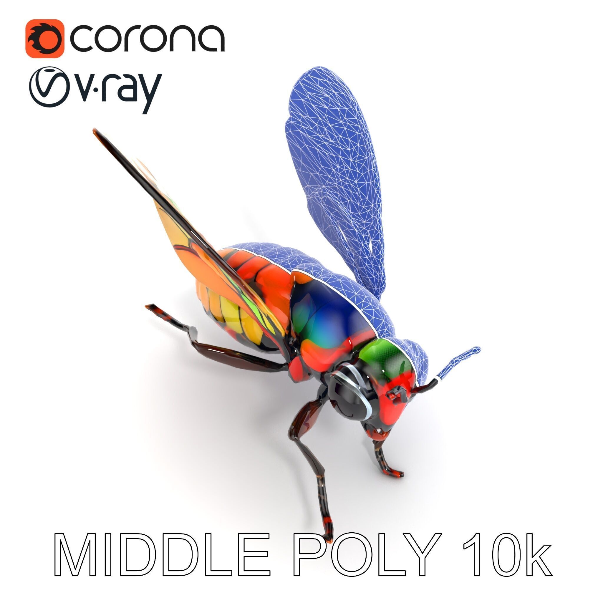 Exotic Insect with Stained Glass Wings model pack Low-poly 3D model_20
