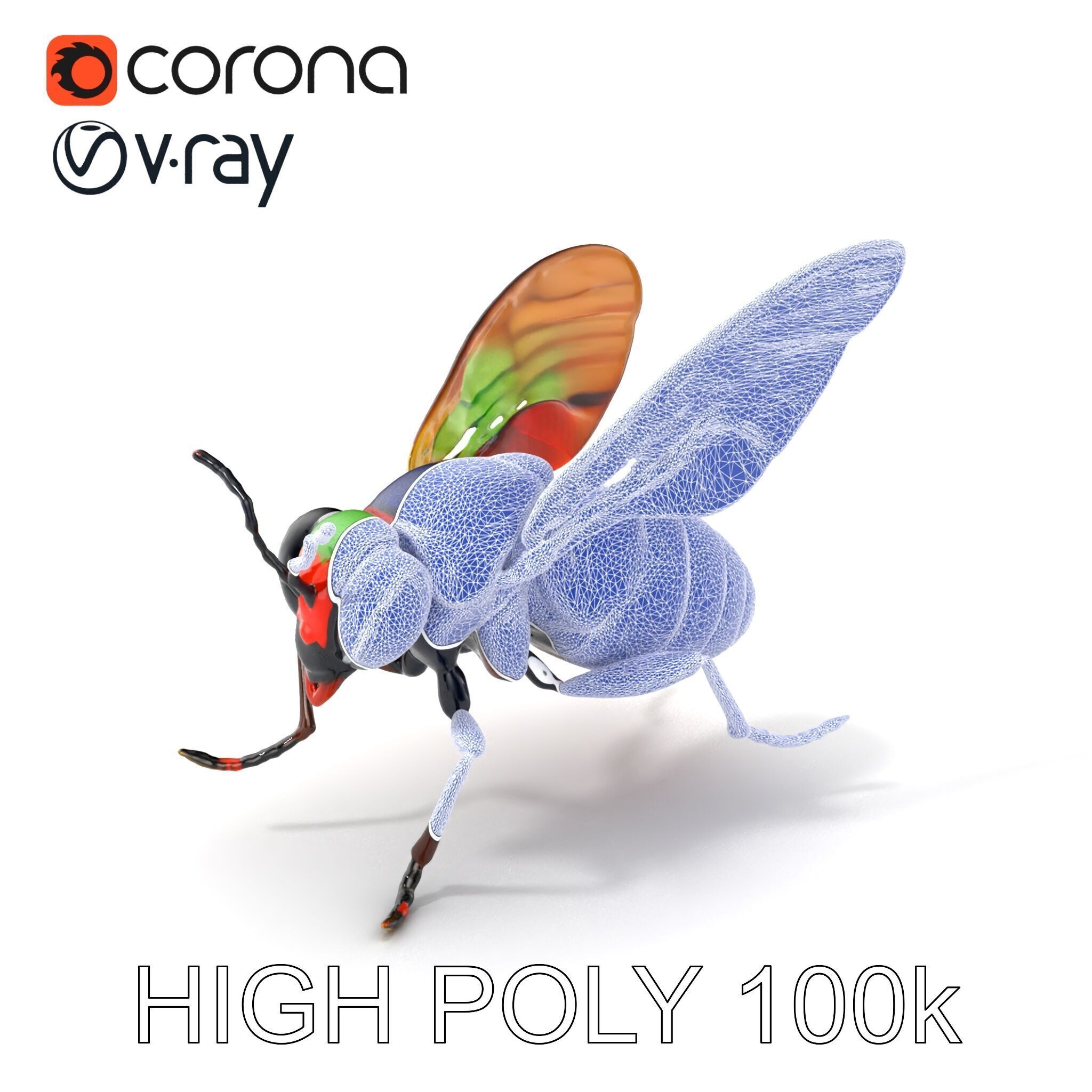 Exotic Insect with Stained Glass Wings model pack Low-poly 3D model_10