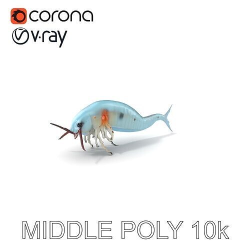 Bioluminescent Marine Creature Model Pack Low-poly 3D model