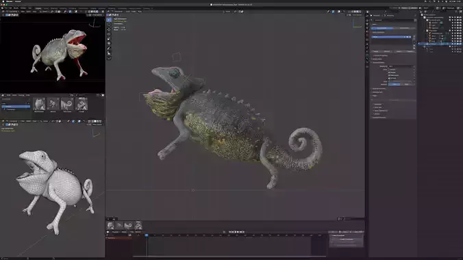 Chamaeleo namaquensis