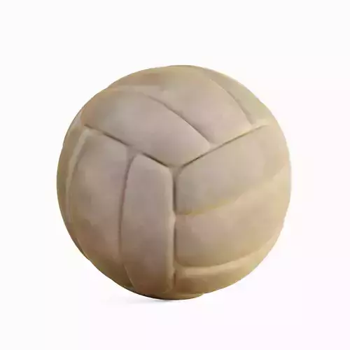 Old Leather Volleyball Ball 04
