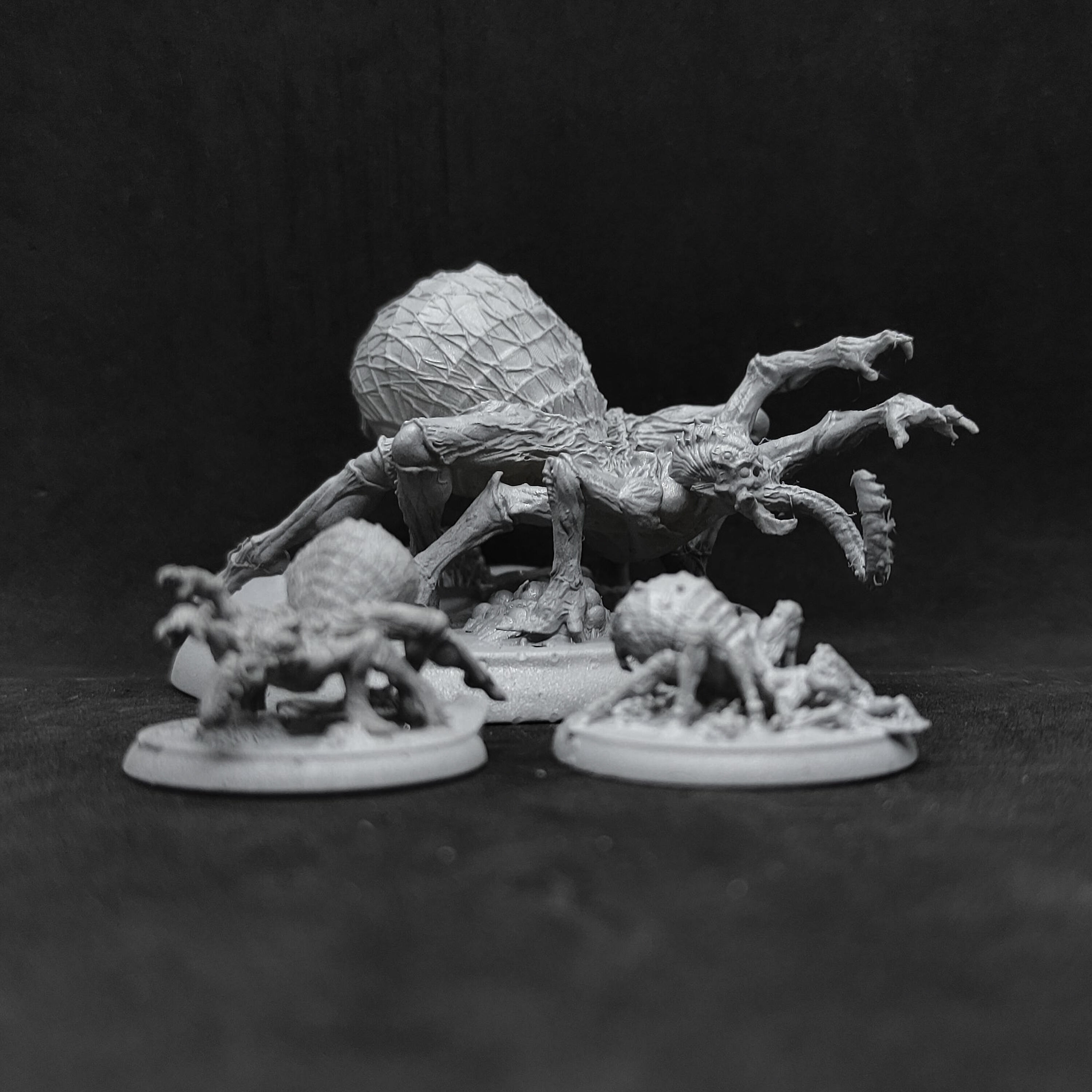Spider Queen Army 3D print model_18
