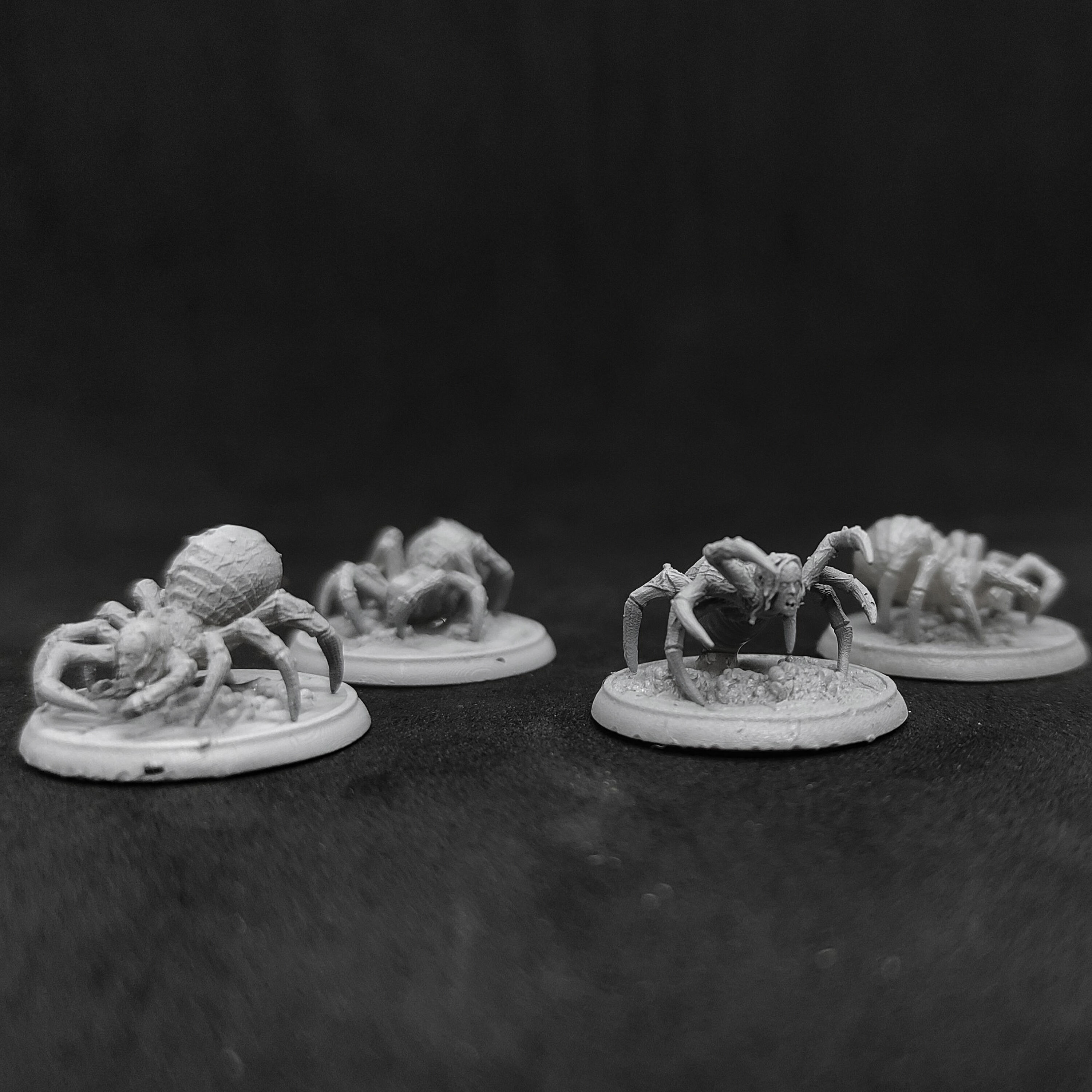Spider Queen Army 3D print model_19