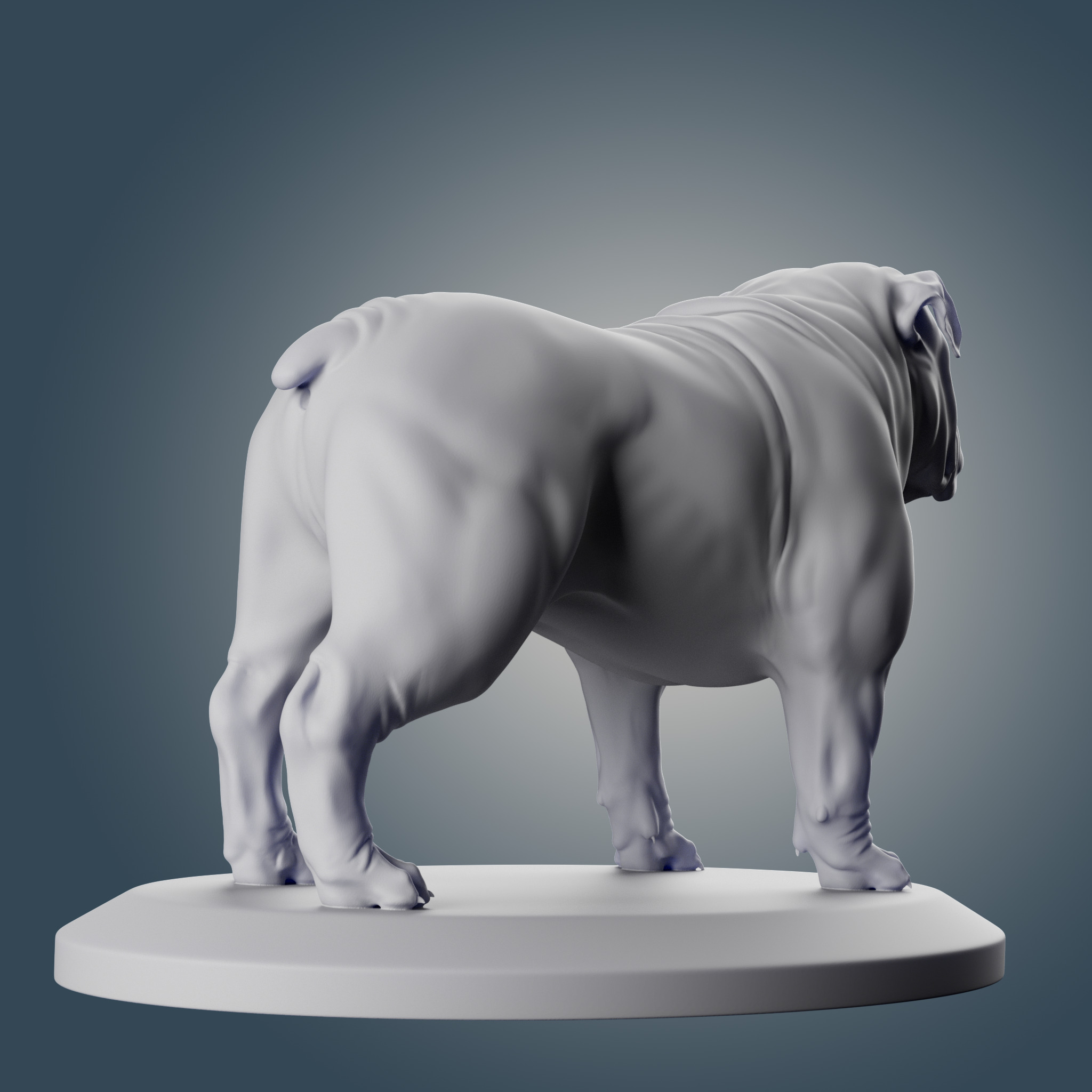 English Bulldog 3D print model_4