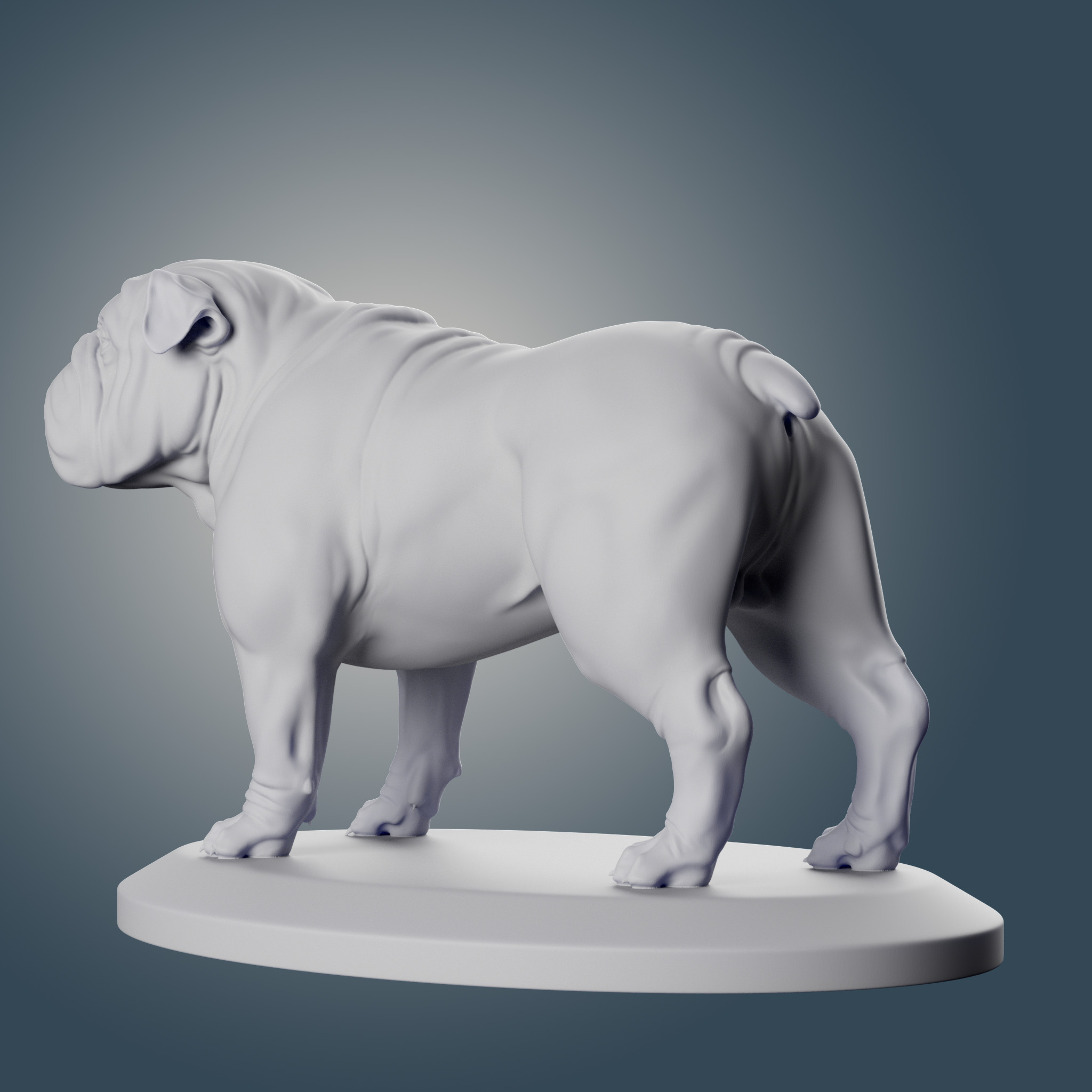 English Bulldog 3D print model_3