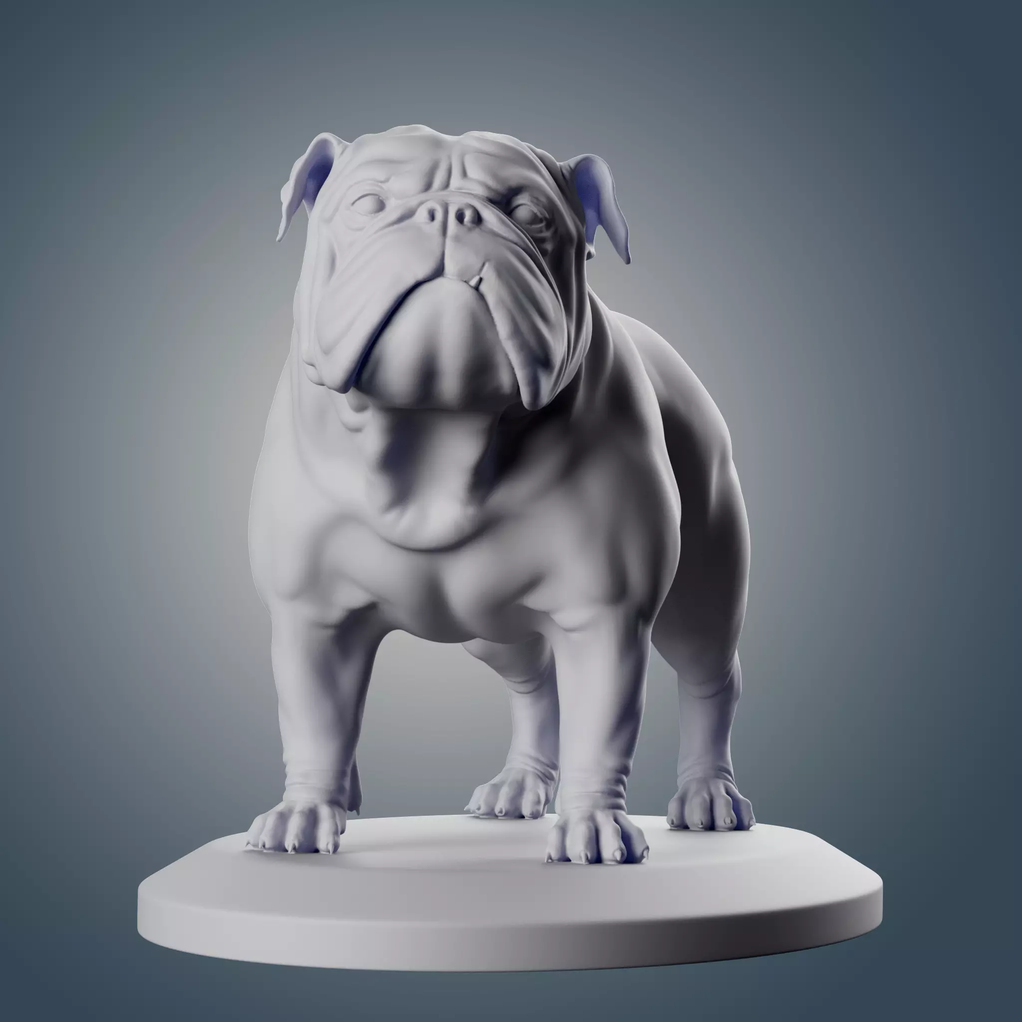 English Bulldog 3D print model_0
