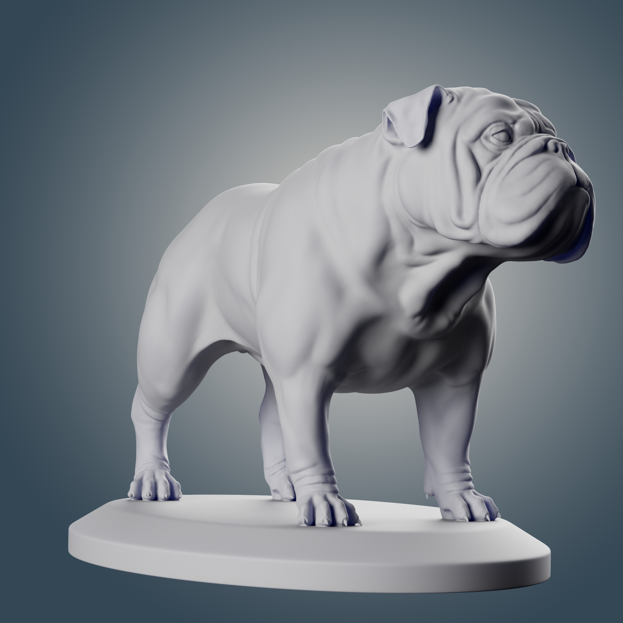 English Bulldog 3D print model_1