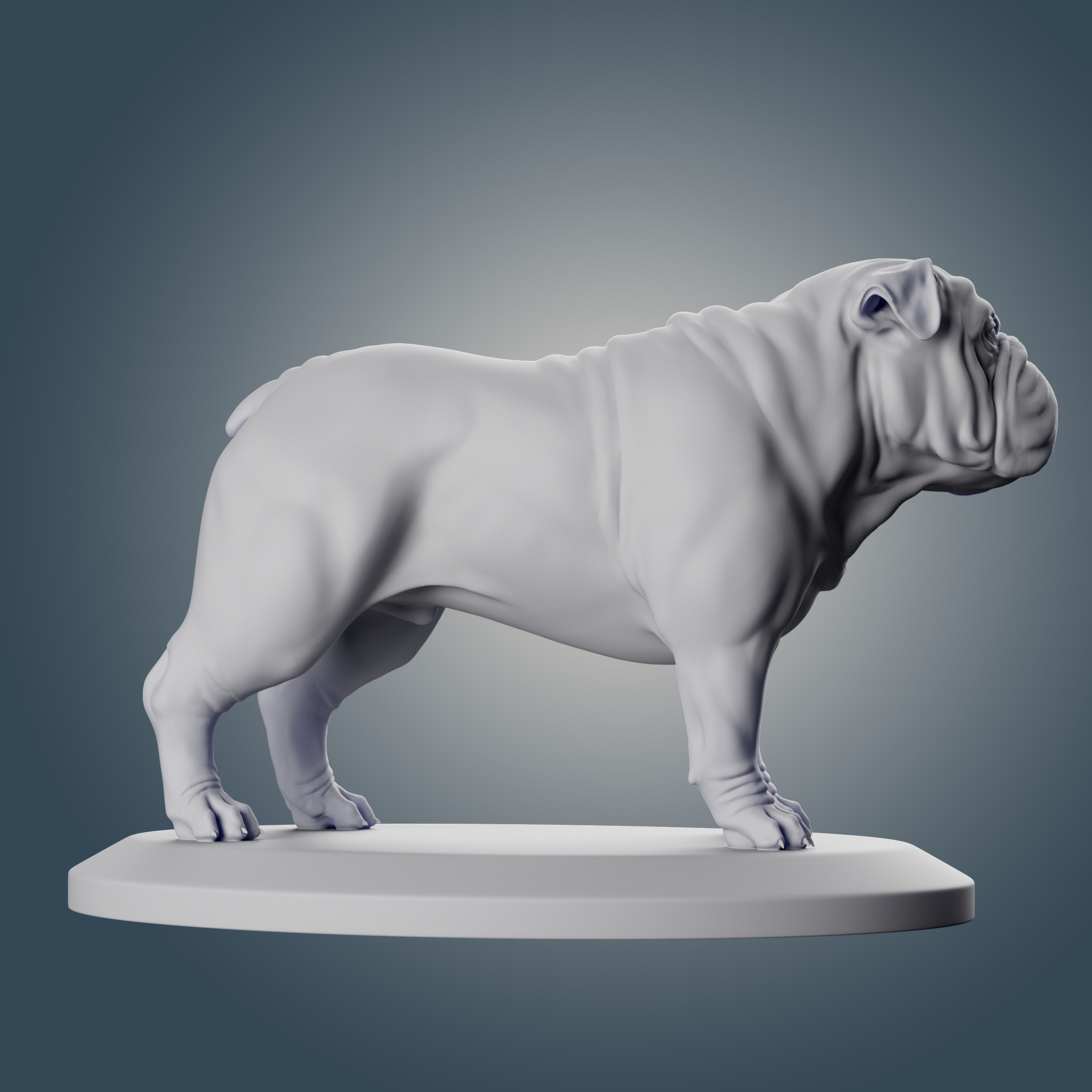 English Bulldog 3D print model_5