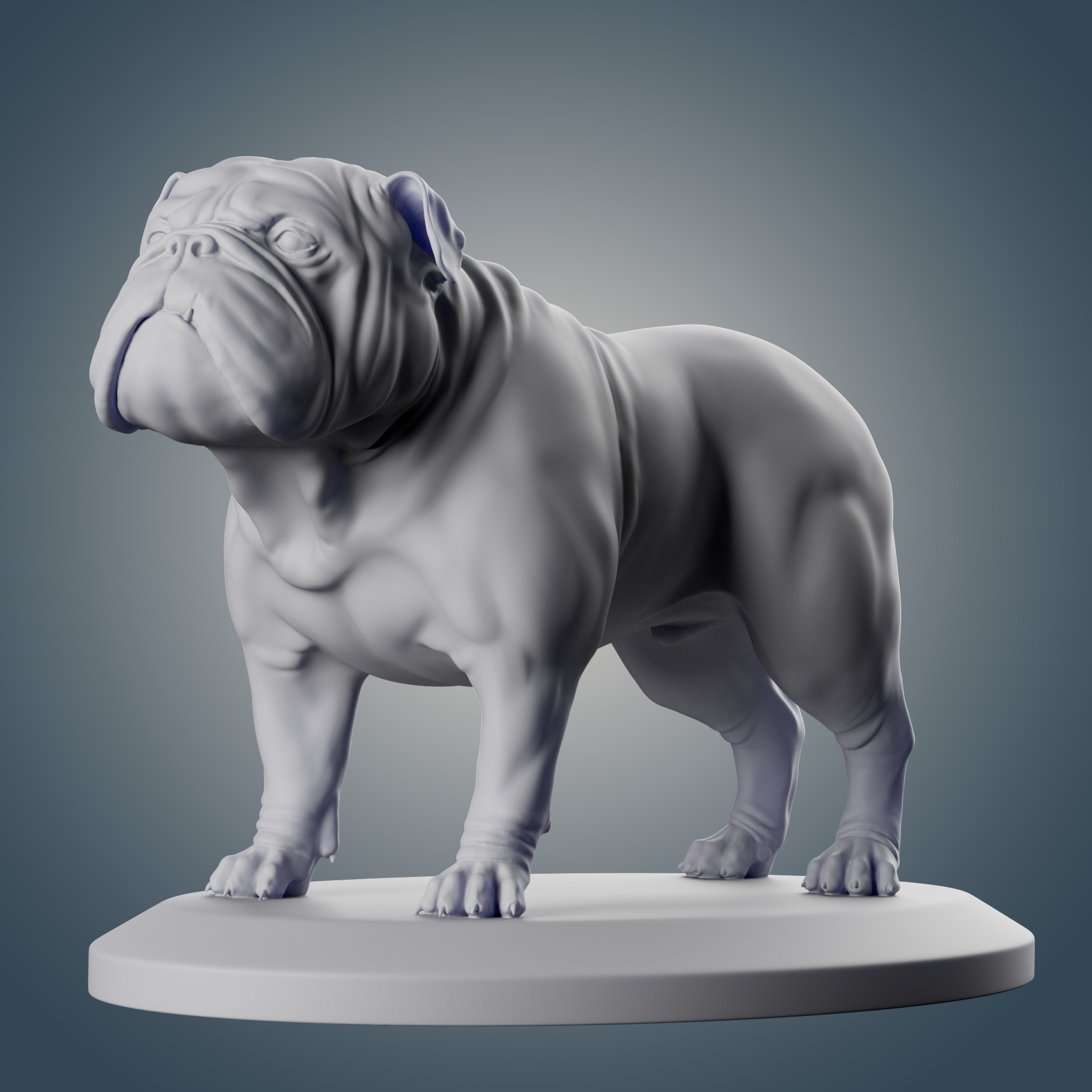 English Bulldog 3D print model_2