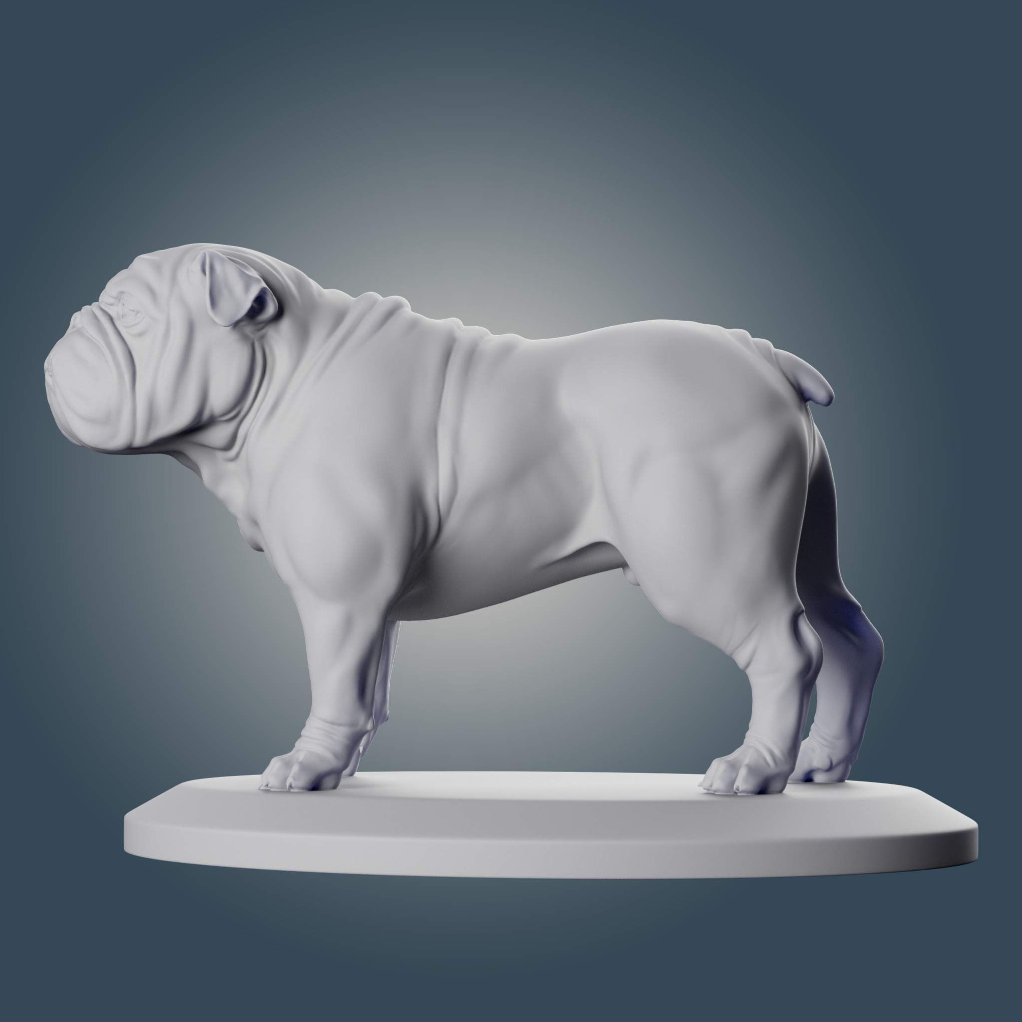English Bulldog 3D print model_6