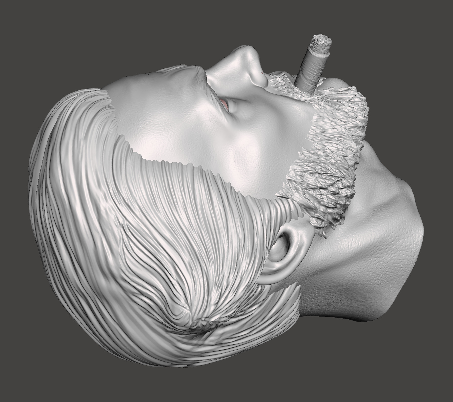 Cavillrine 3d STL Model for printing 3D print model_5