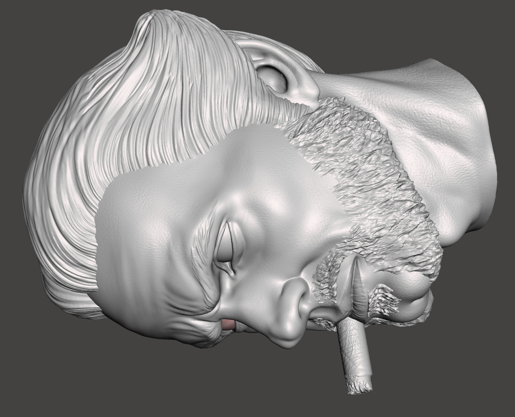 Cavillrine 3d STL Model for printing 3D print model_2