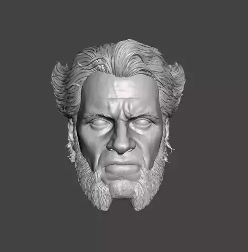 CAVILLRINE STL 3d Print Model