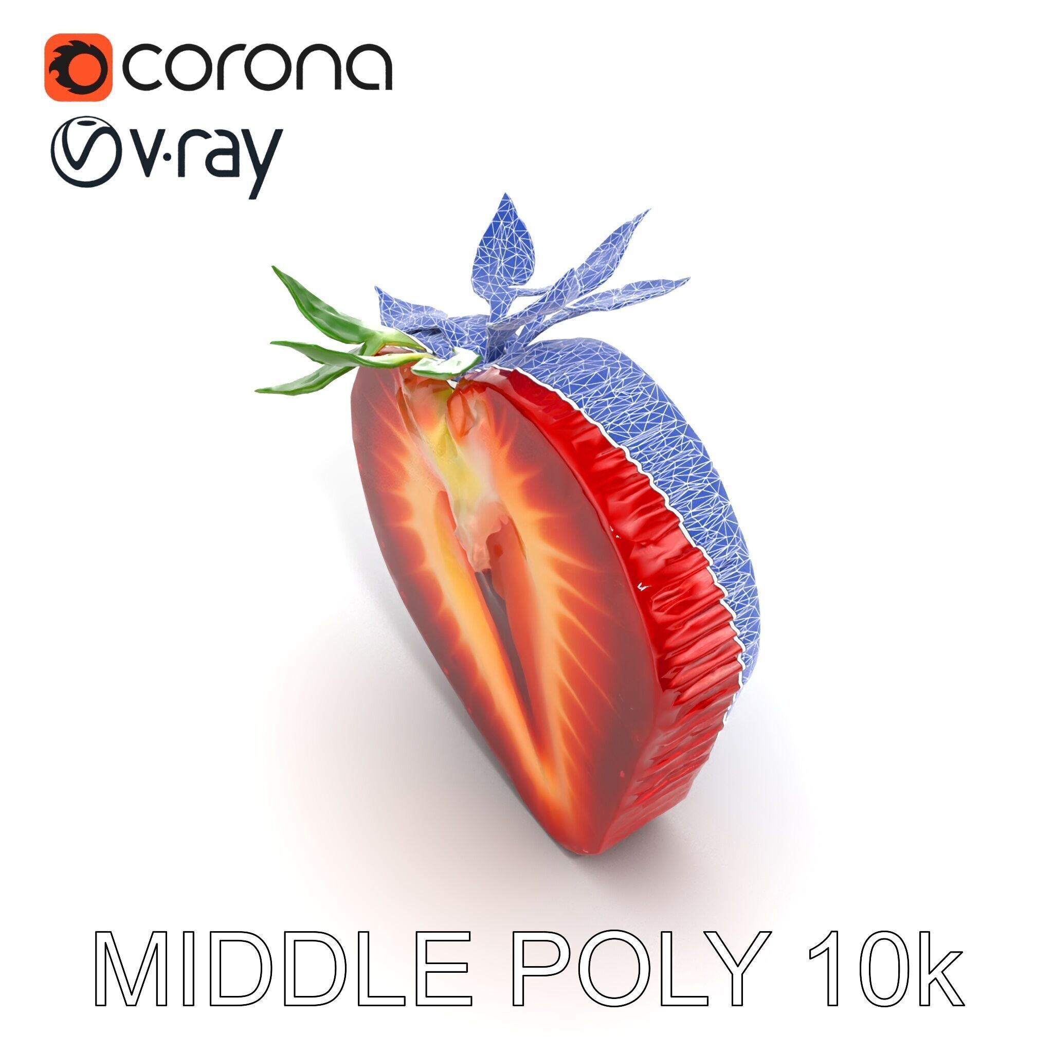 Strawberry Crosssection Realistic Detail Model Pack Low-poly 3D model_24