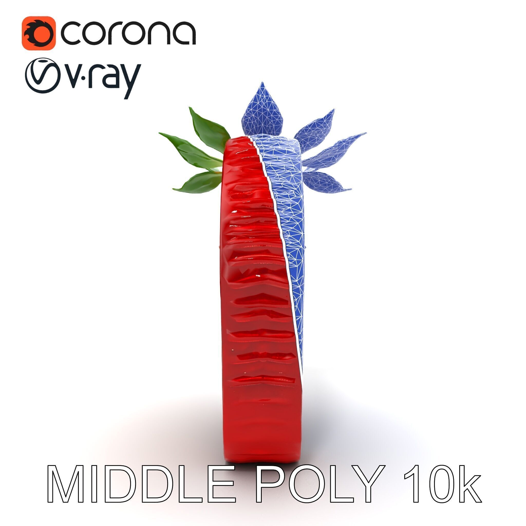 Strawberry Crosssection Realistic Detail Model Pack Low-poly 3D model_14