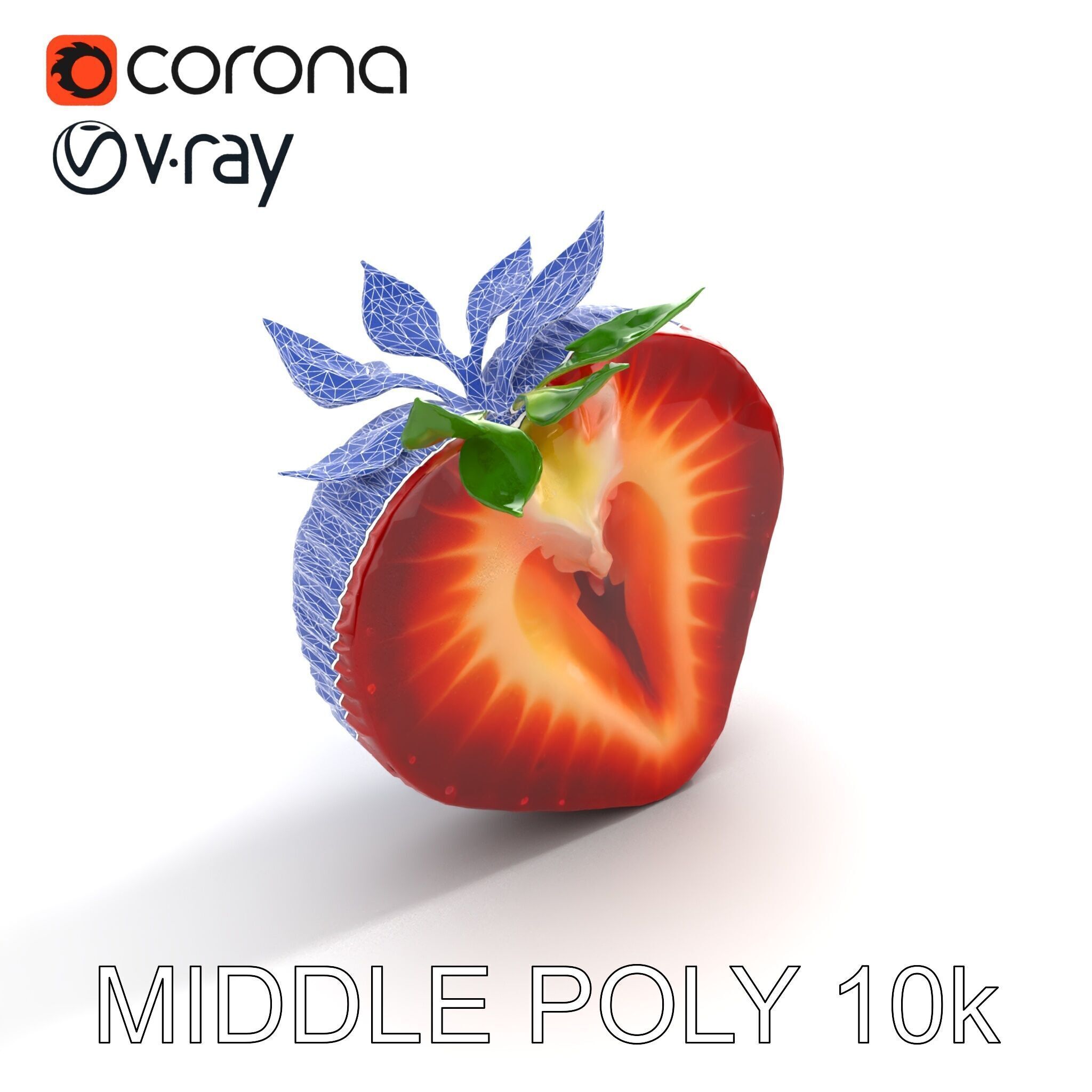 Strawberry Crosssection Realistic Detail Model Pack Low-poly 3D model_11