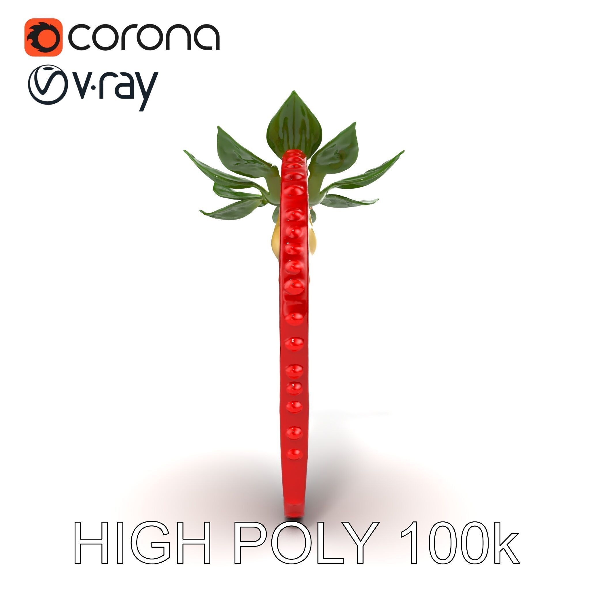 Strawberry Crosssection Realistic Detail Model Pack Low-poly 3D model_13