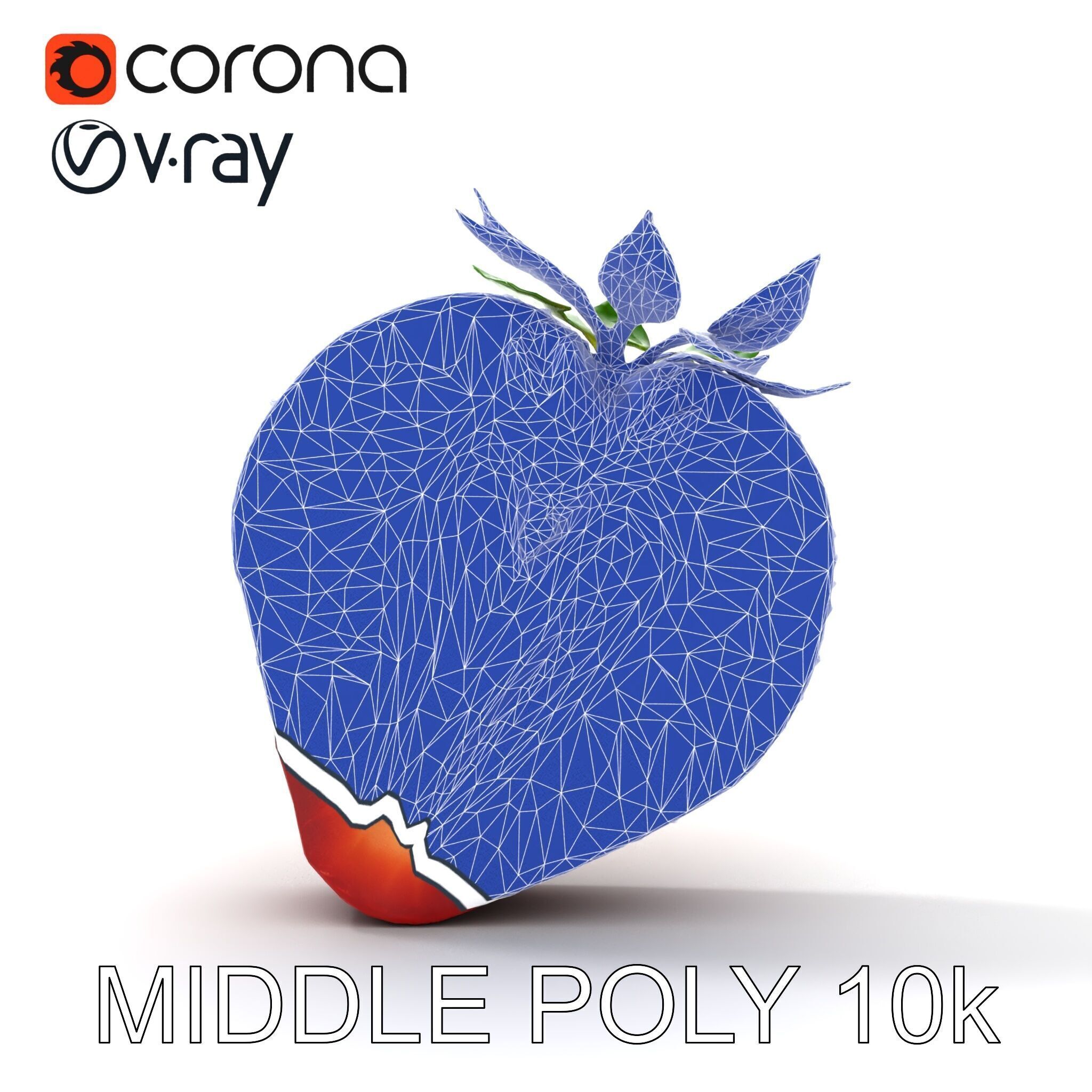 Strawberry Crosssection Realistic Detail Model Pack Low-poly 3D model_28