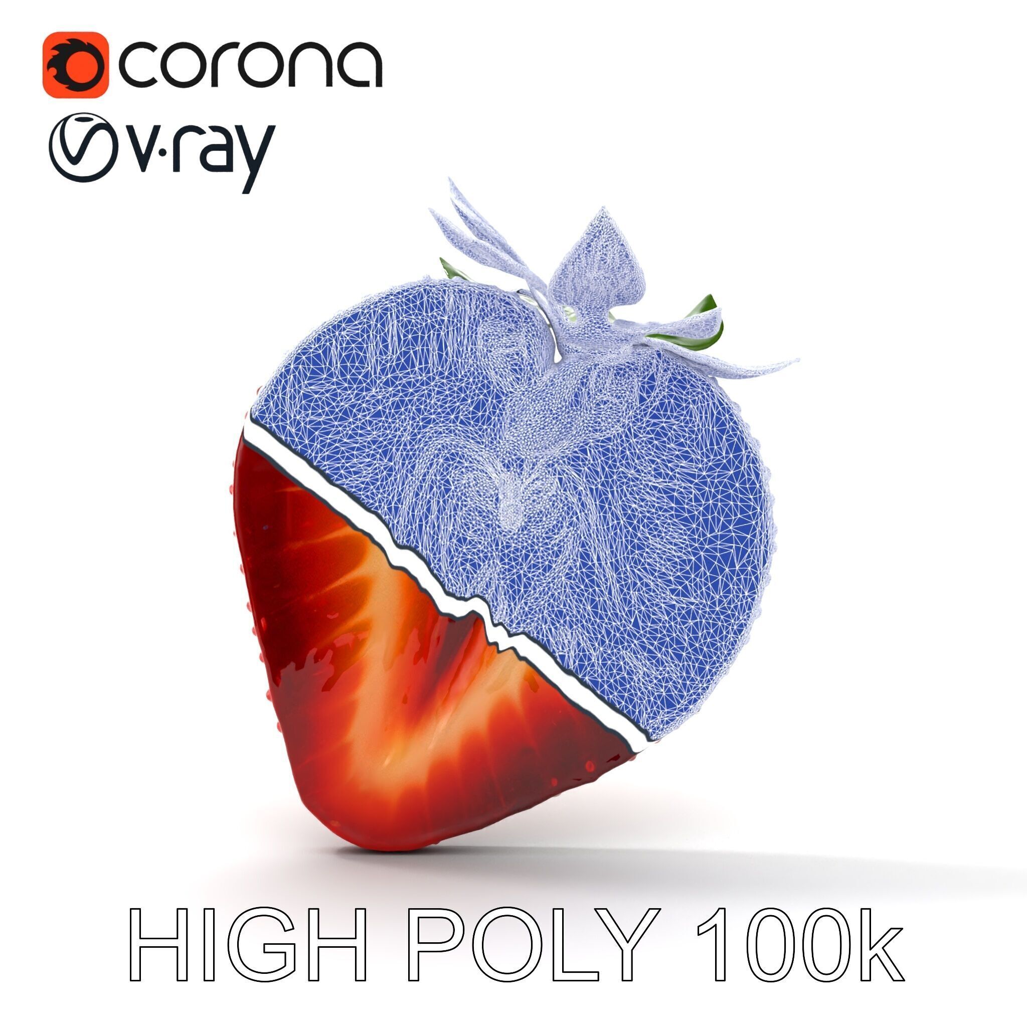 Strawberry Crosssection Realistic Detail Model Pack Low-poly 3D model_30