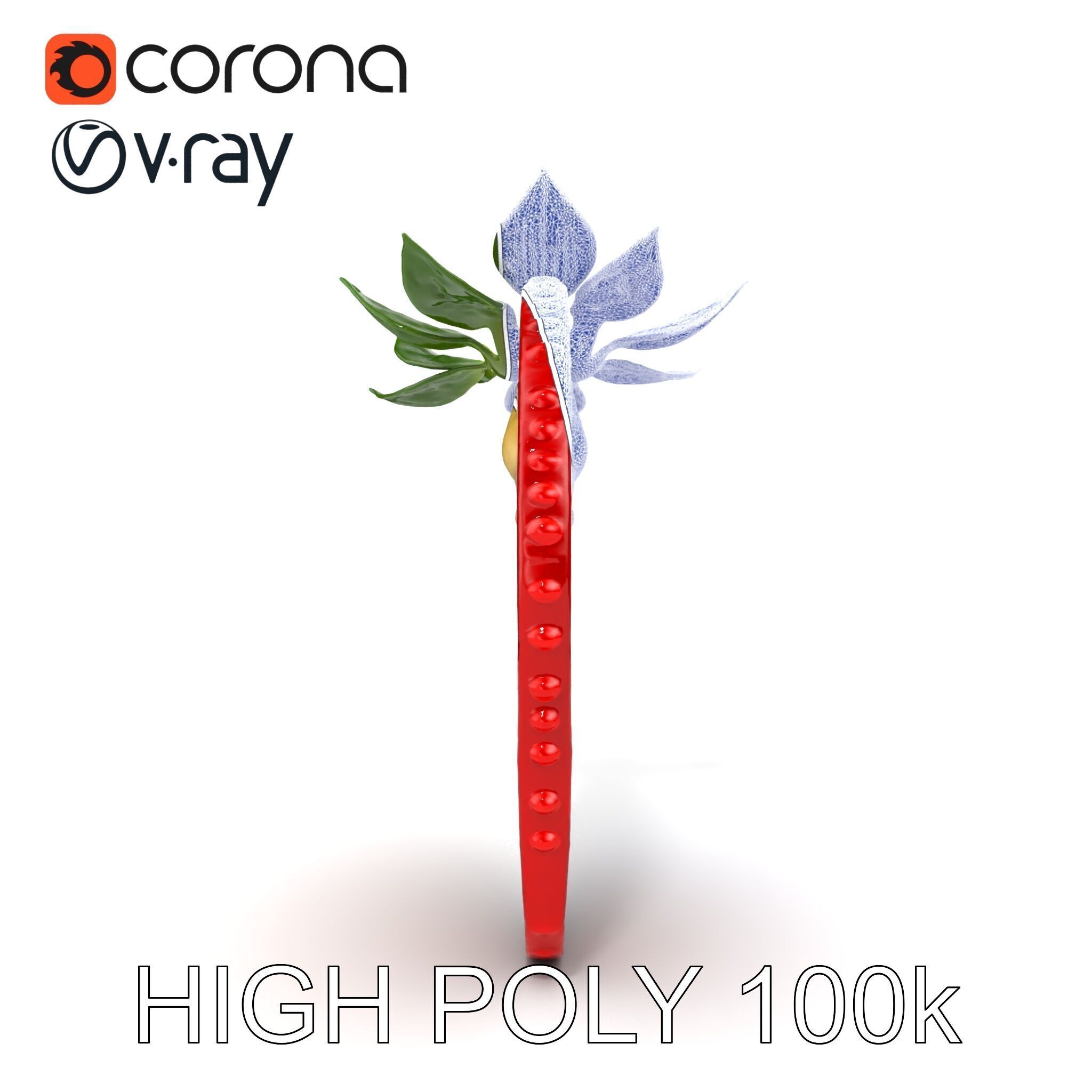 Strawberry Crosssection Realistic Detail Model Pack Low-poly 3D model_22