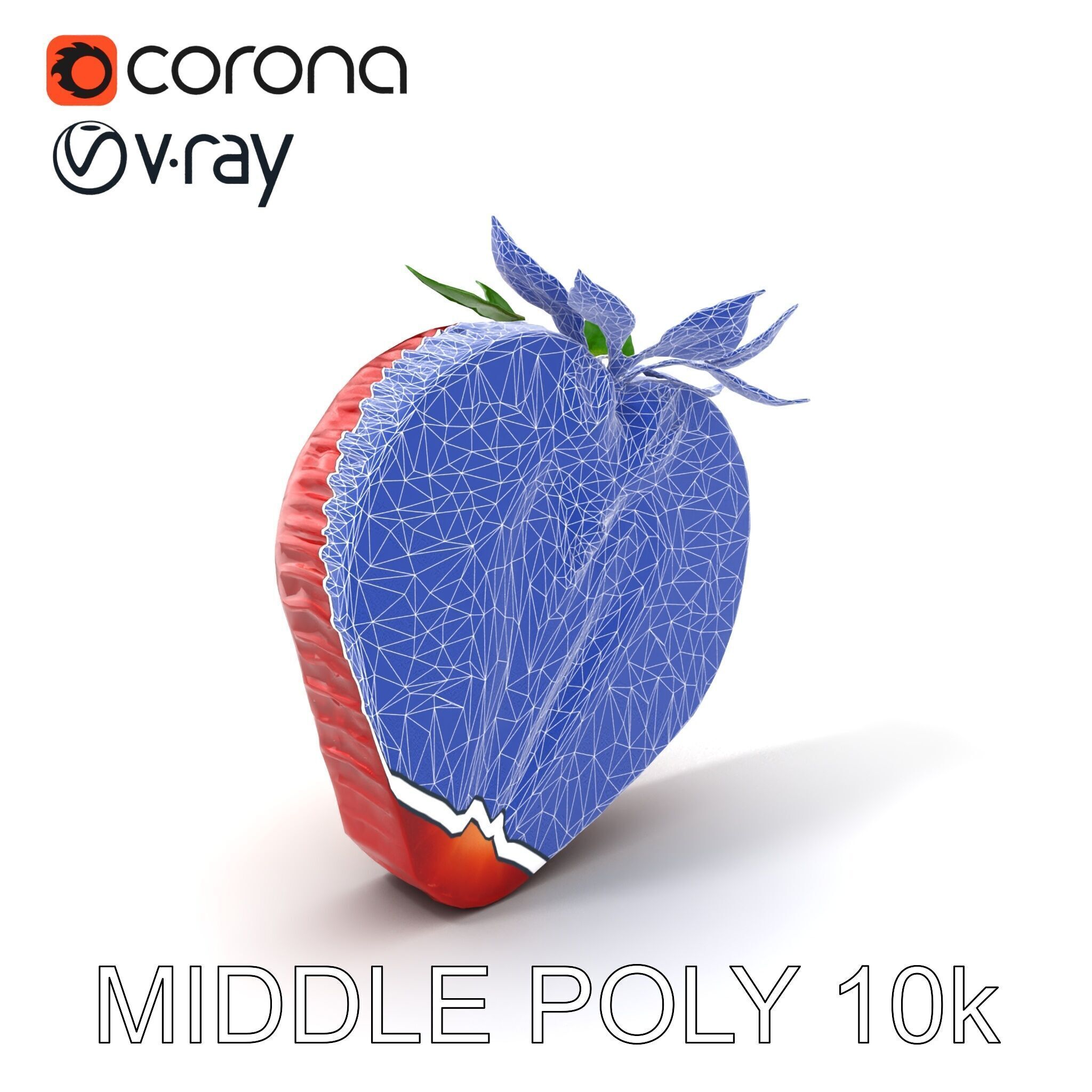 Strawberry Crosssection Realistic Detail Model Pack Low-poly 3D model_6