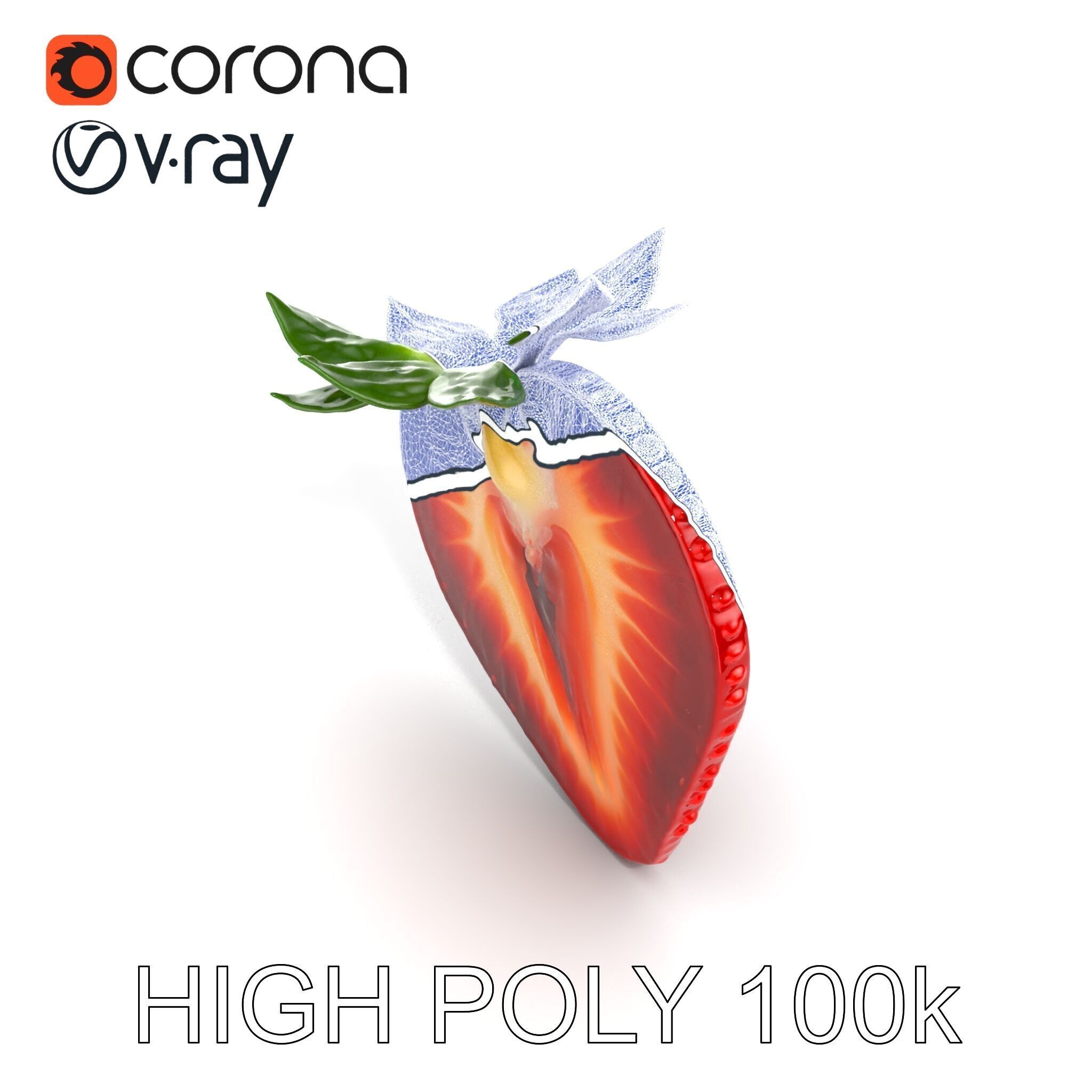 Strawberry Crosssection Realistic Detail Model Pack Low-poly 3D model_15