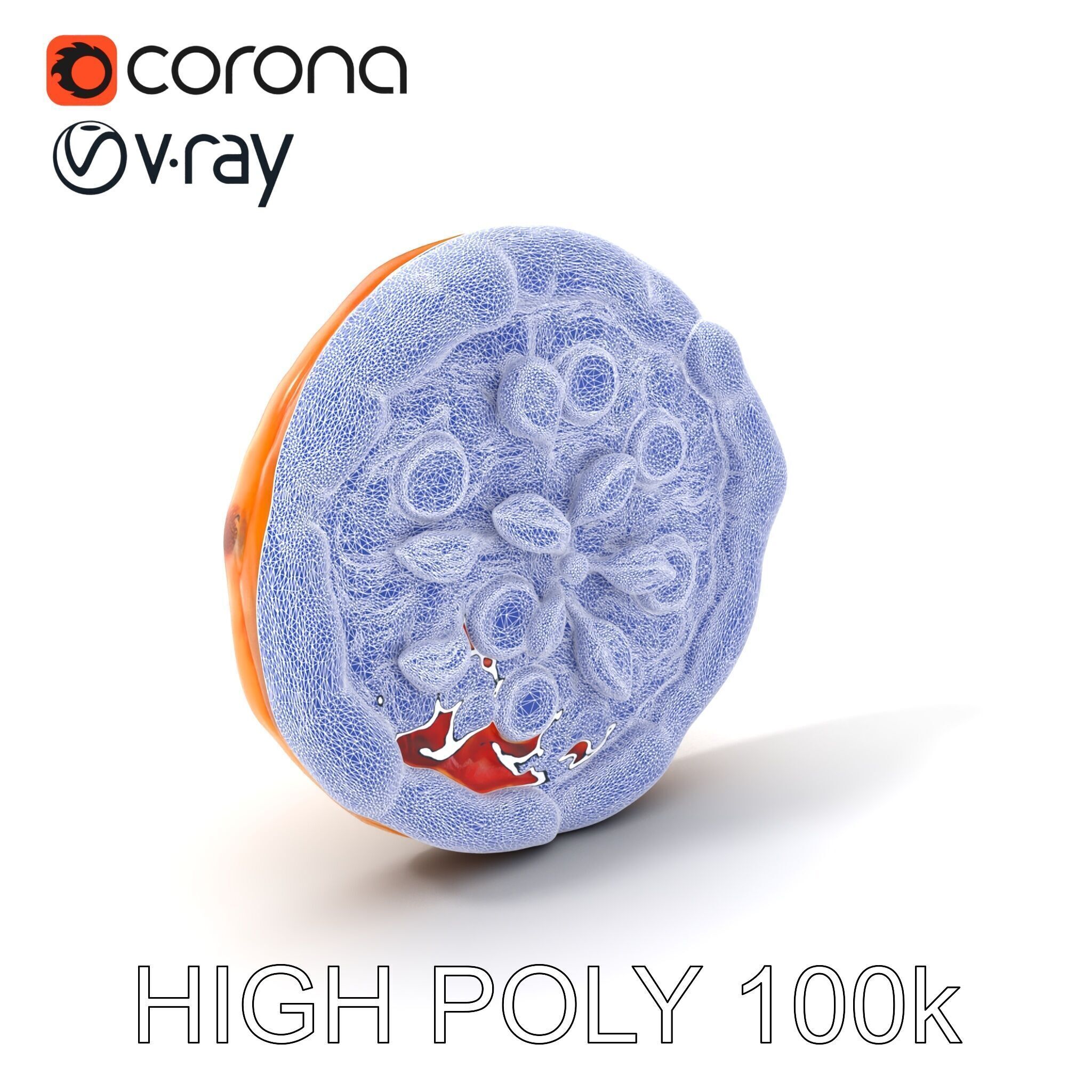 Traditional Margherita Pizza D Model Pack Low-poly 3D model_10