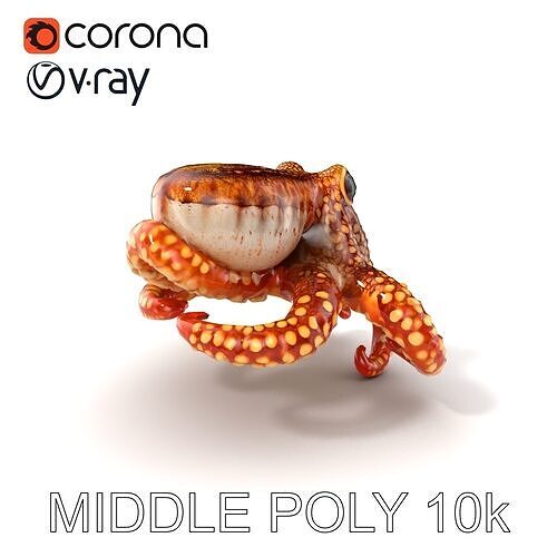 Cistopus Indicus CrabEating Octopus Model Pack Low-poly 3D model