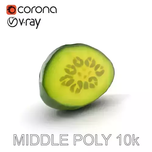 Cucumber Slice Detailed D Model Pack