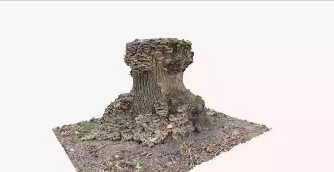 Tree Stump 4 3D model