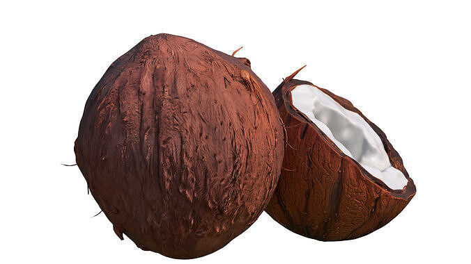 Coconuts Low-poly 3D model 4