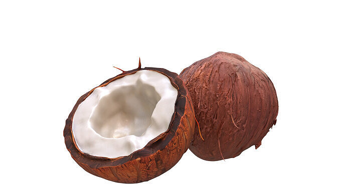 Coconuts Low-poly 3D model 6