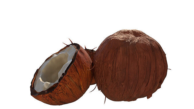 Coconuts Low-poly 3D model 5