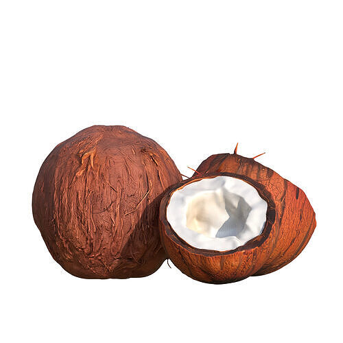 Coconuts Low-poly 3D model 7