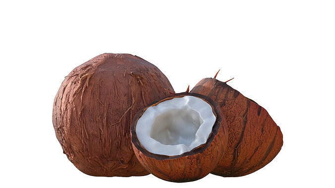 Coconuts Low-poly 3D model 2