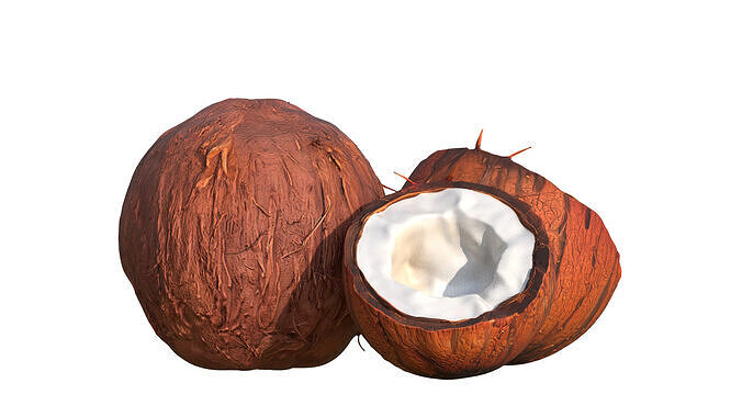 Coconuts Low-poly 3D model 3