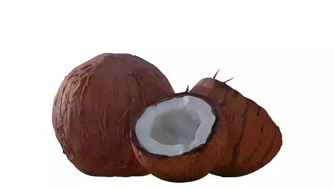 Coconuts