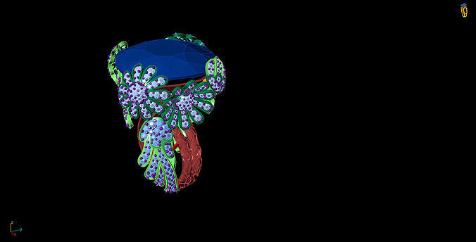 Elegant Flower Ring  3D model